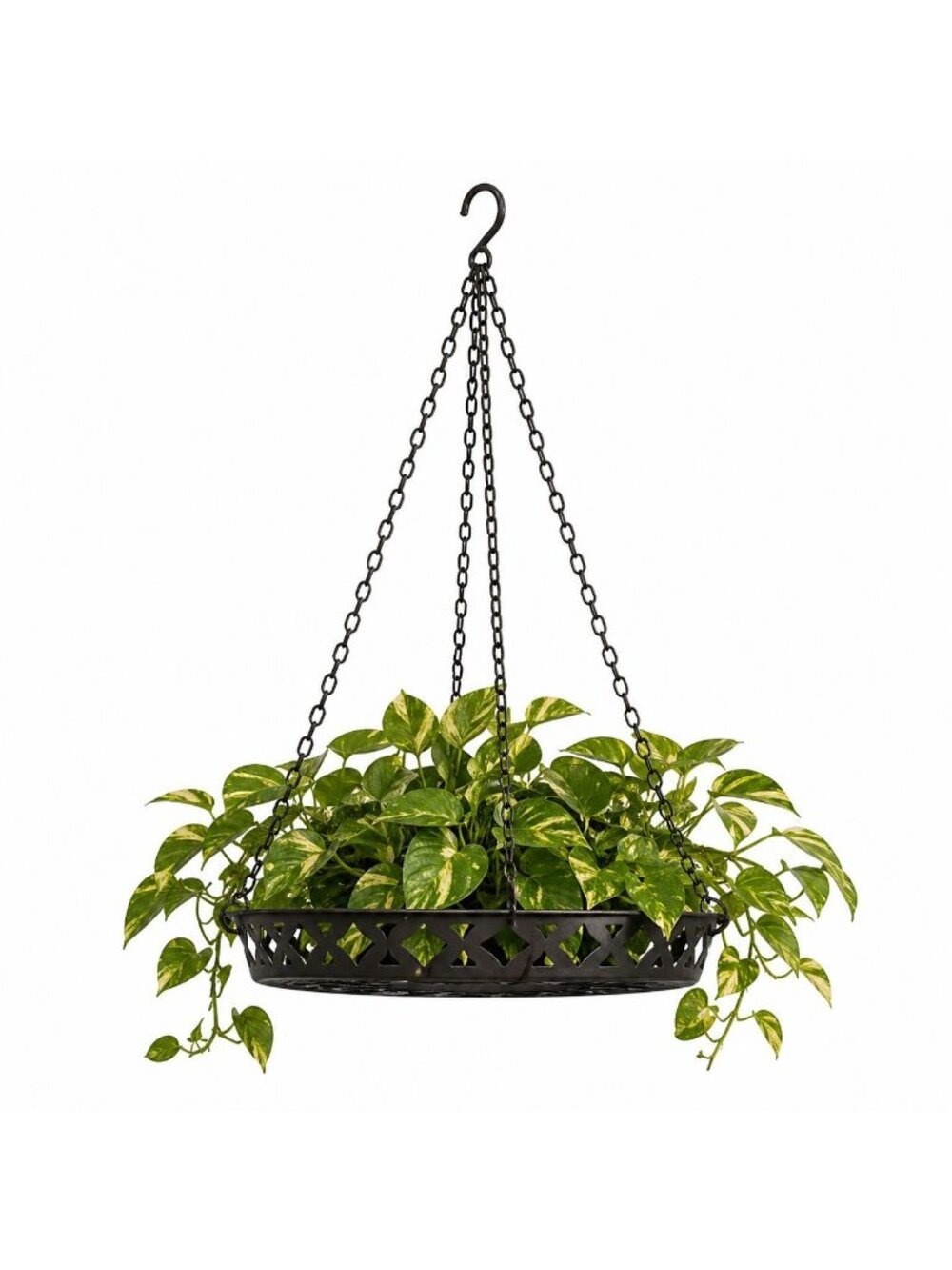Black Metal Hanging Planter Basket 12 Rustic Farmhouse Boho Indoor Outdoor - Picture 5 of 8